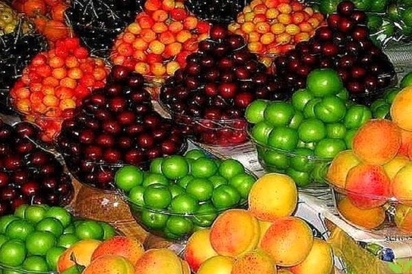 قیمت روز میوه و تره بار در میادین شهرداری (۵ شهریور) 