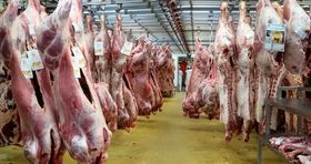 واردات گوشت به ایران رکورد تاریخی ثبت کرد
