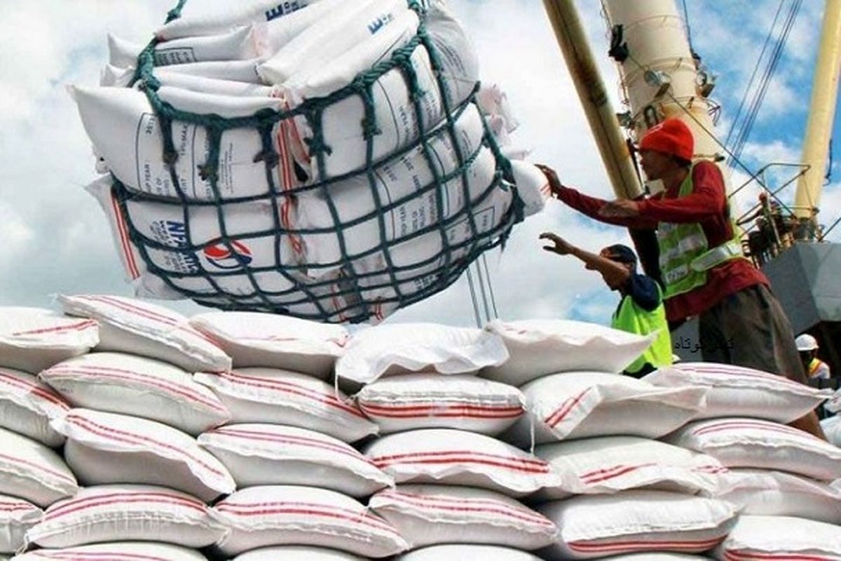 واردات برنج همچنان متوقف است/پرداخت ۸۰درصد مطالبات گندم کاران