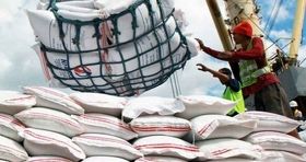 واردات برنج همچنان متوقف است/پرداخت ۸۰درصد مطالبات گندم کاران