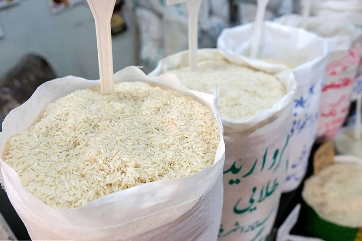 برنج ایرانی با قیمت جدید به بازار سرازیر شد (۱۸ شهریور)