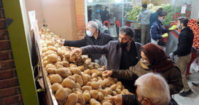 دلیل ارزان نشدن سیب زمینی مشخص شد