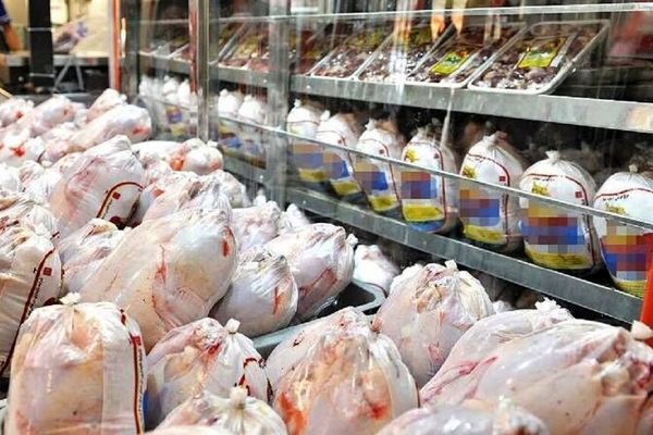 ریزش شدید قیمت مرغ در بازار 