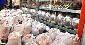 قیمت مرغ در بازار امروز مشخص شد / تخم مرغ به چه قیمتی فروخته می شود؟ 