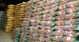 بازار برنج اشباع شد / فعلا خبری از واردات برنج نیست