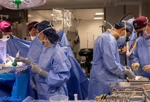 پیوند کلیه خوک به بیمار ۵۴ ساله در ماساچوست