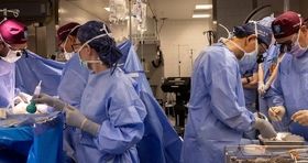 پیوند کلیه خوک به بیمار ۵۴ ساله در ماساچوست