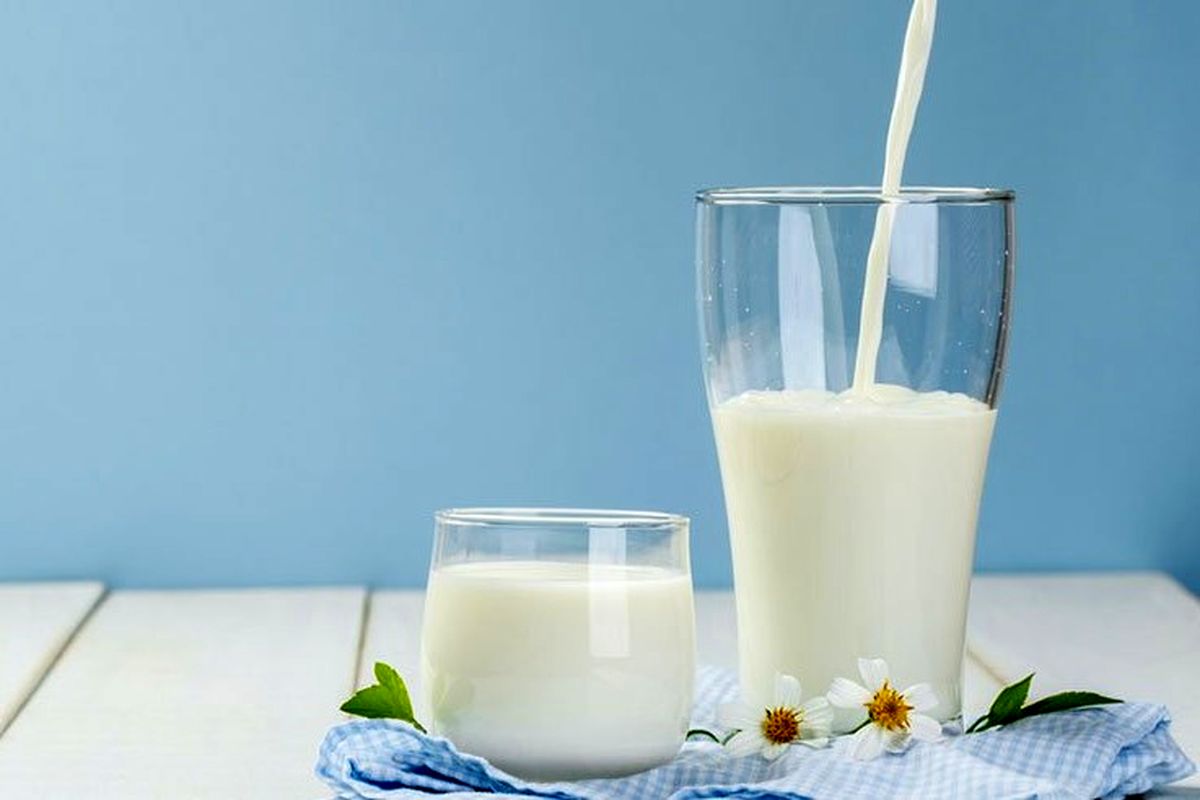جدیدترین قیمت شیر در بازار / شیر شتر کیلویی چند؟