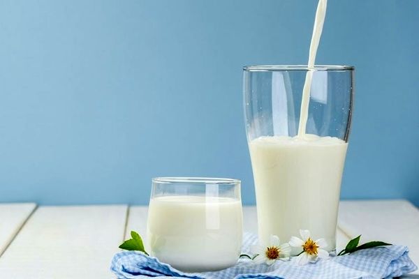 قیمت شیر در بازار امروز / شیر پاستوریزه لیتری چند؟