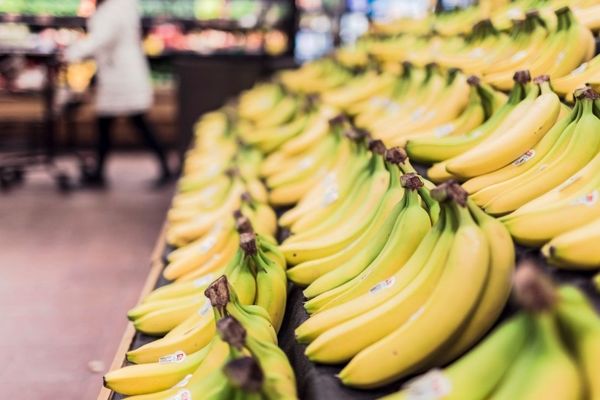 حبس میوه ها در گمرک/ هزارتن موز وارداتی در آستانه فساد