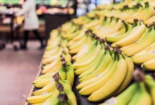 حبس میوه ها در گمرک/ هزارتن موز وارداتی در آستانه فساد