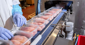 قیمت مرغ گران‌تر می‌شود؟ 