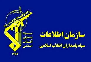 سازمان اطلاعات سپاه افعی برق‌ خوار ایران را شکار کرد