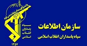 سازمان اطلاعات سپاه افعی برق‌ خوار ایران را شکار کرد