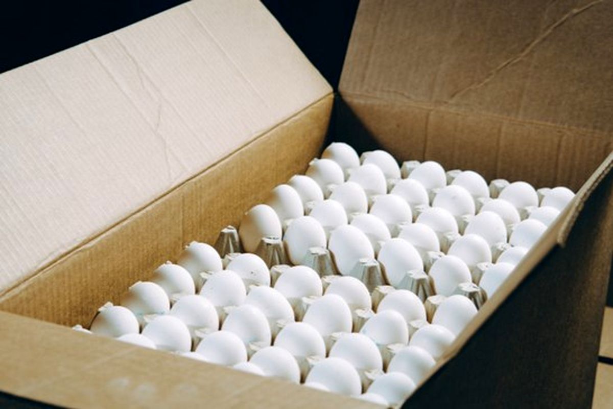تخم مرغ برای ایران پول ساز می شود / صادرات تخم مرغ ۲ برابر می شود