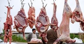 قیمت گوشت گوسفندی و گوساله در بازار امروز / میوه در پایتخت، روزانه توزیع می شود