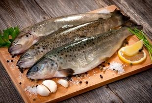 لیست آخرین قیمت انواع ماهی در بازار / قزل و سالمون کیلویی چند شدند؟ 
