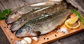 لیست آخرین قیمت انواع ماهی در بازار / قزل و سالمون کیلویی چند شدند؟ 