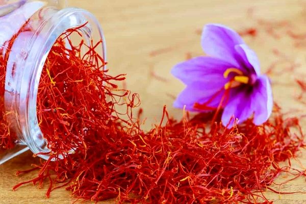 پشت پرده کاهش تولید زعفران در کشور