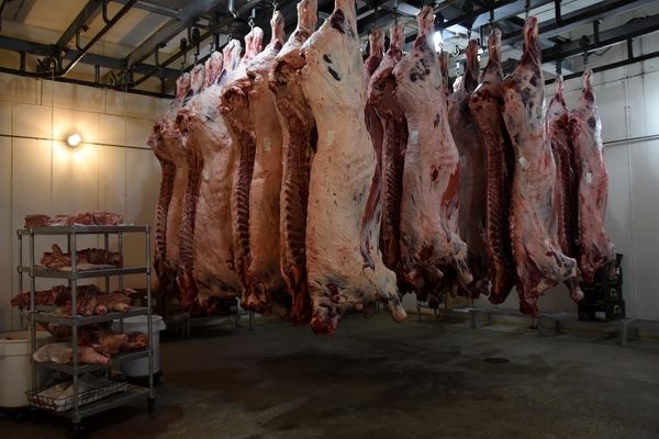 ضربه آخر به سفره مردم / با گوشت قرمز خداحافظی کنید