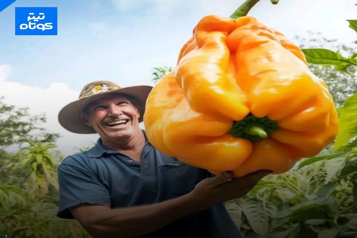 تصاویر / خوشحال ترین کشاورزان جهان