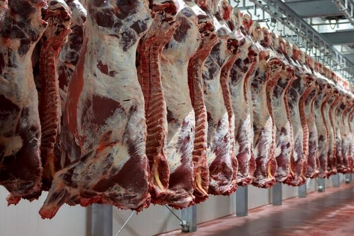 نگران تامین گوشت شب عید نباشید / آخرین قیمت گوشت گوسفند و گوساله در بازار 