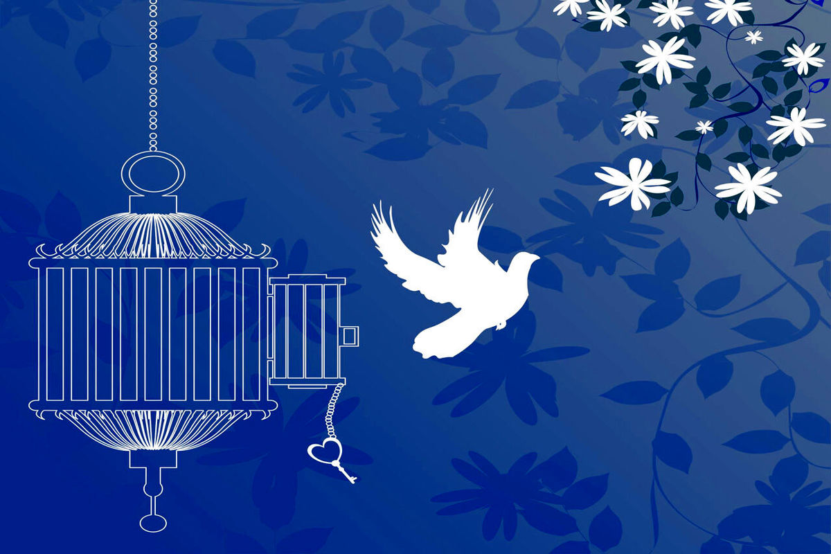 آزادی تمامی مادران زندانی جرائم مالی غیرعمد تا سقف 250 میلیون تومان به همت بانک پارسیان
