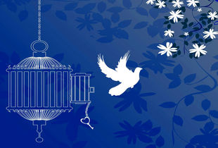 آزادی تمامی مادران زندانی جرائم مالی غیرعمد تا سقف 250 میلیون تومان به همت بانک پارسیان
