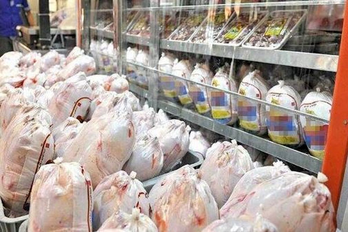 اقدامی ویژه برای تنظیم بازار مرغ / قیمت مرغ منجمد به ۶۵ هزار تومان رسید 