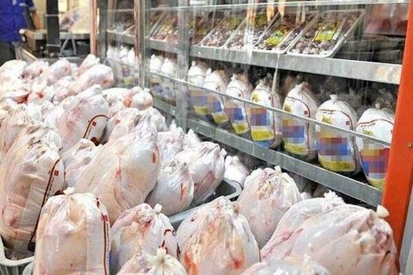 قیمت مرغ در بازار مشخص شد (۱۷ مهر) 