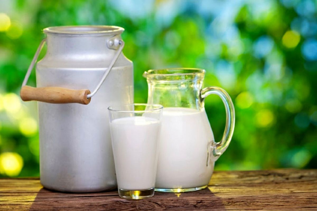 قیمت شیر به کیلویی ۸۰ هزار تومان رسید / لیست جدید قیمت شیر