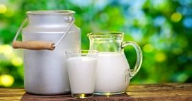 قیمت شیر به کیلویی ۸۰ هزار تومان رسید / لیست جدید قیمت شیر
