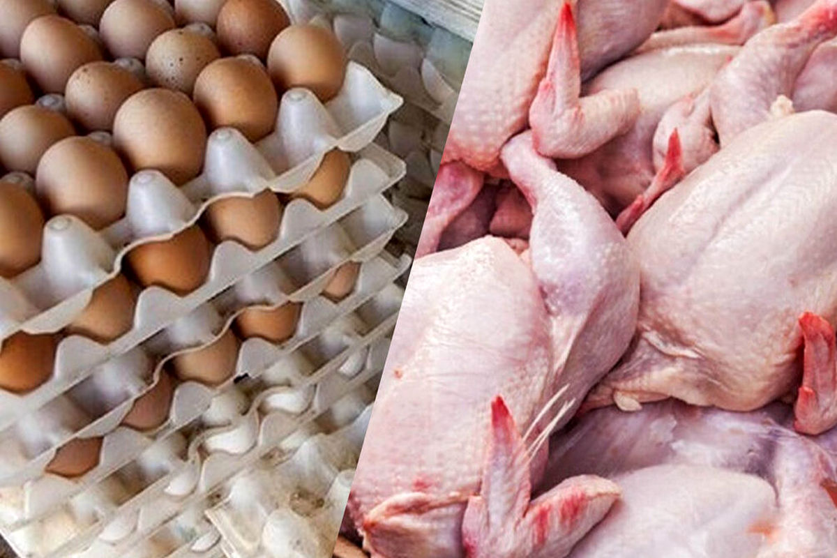 قیمت روز مرغ و تخم مرغ در بازار (۶ مهر) 