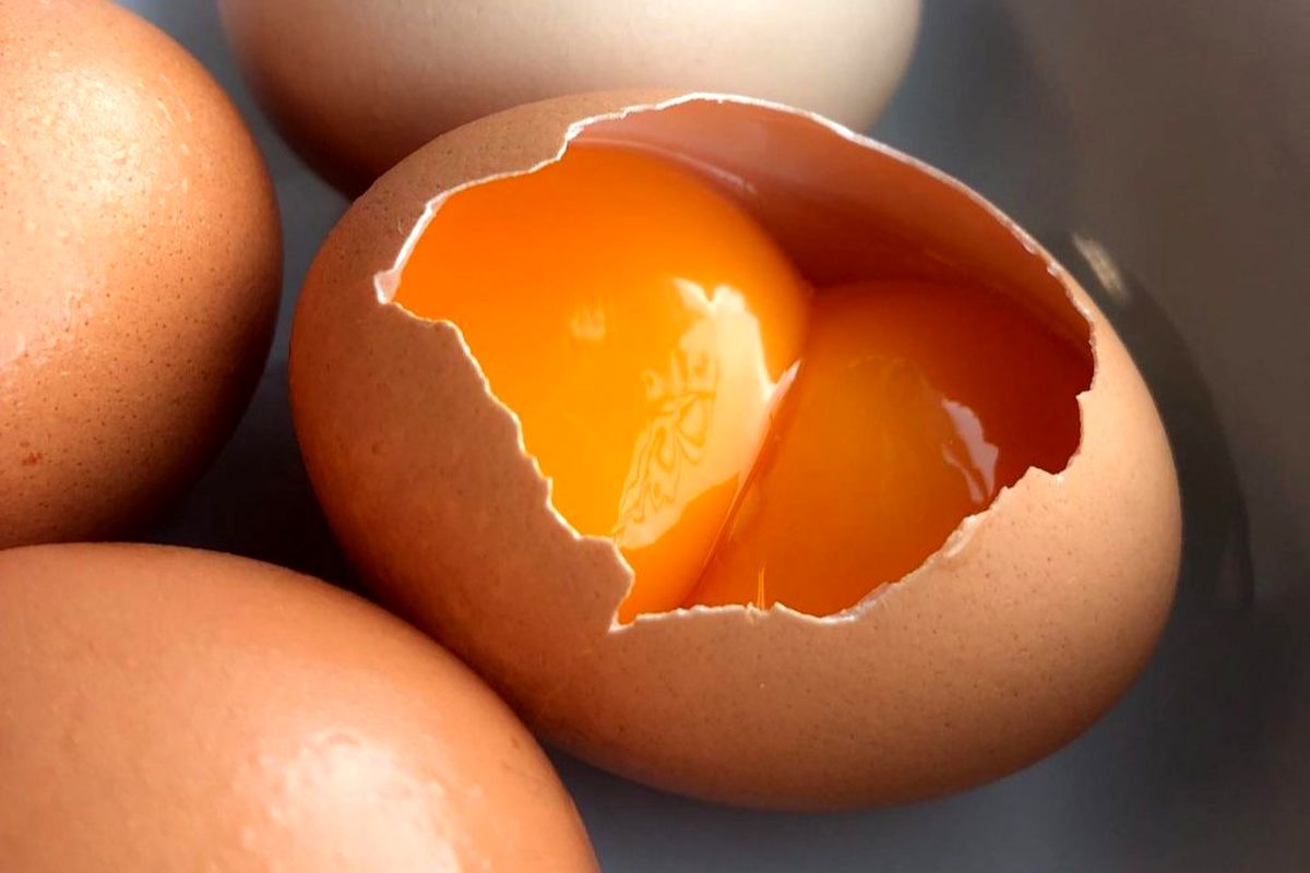 قیمت این تخم مرغ دانه ای ۲۰ هزار تومان شد / قیمت جدید انواع تخم مرغ در بازار