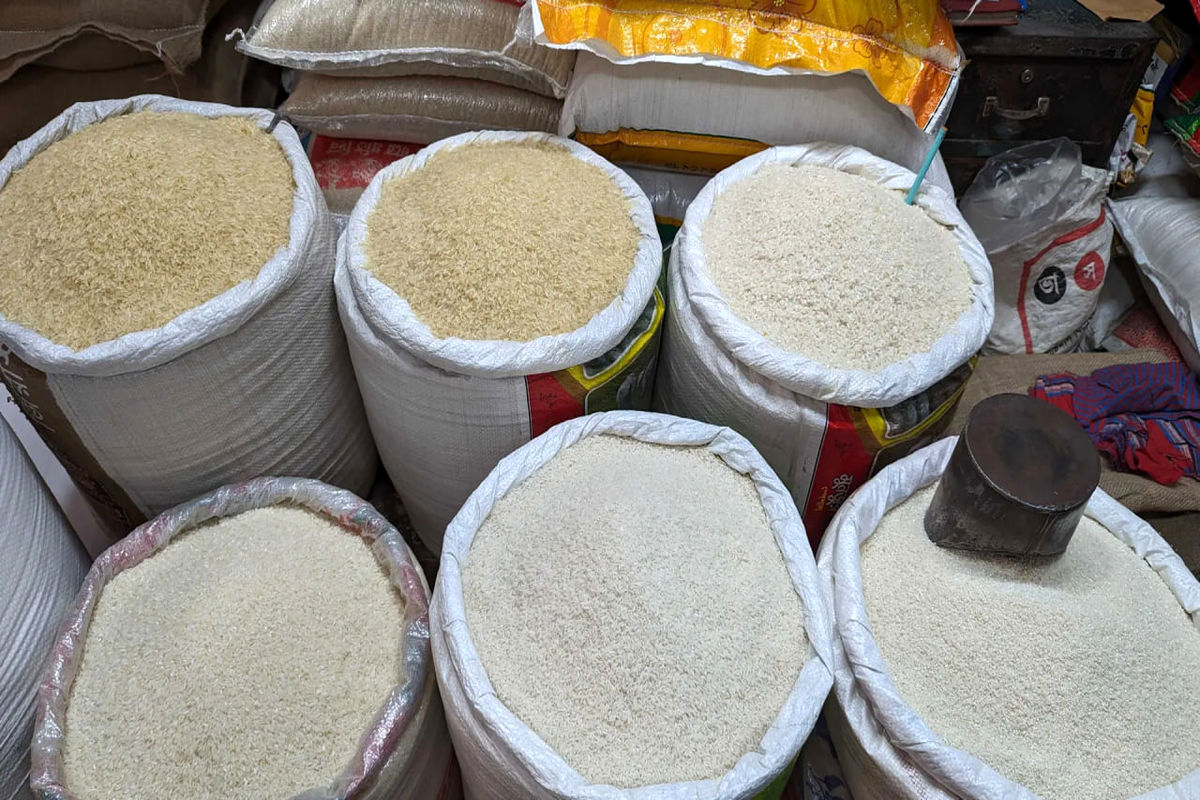 شرط ریزش قیمت برنج ایرانی اعلام شد 