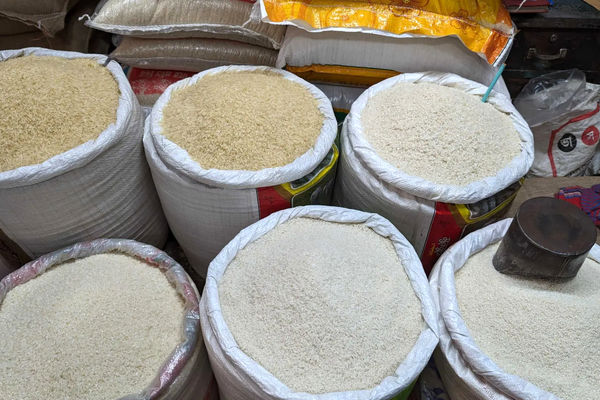 ورود برنج تنظیم بازاری با قیمت مصوب رسماً تایید شد 