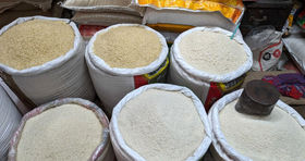 شرط ریزش قیمت برنج ایرانی اعلام شد 