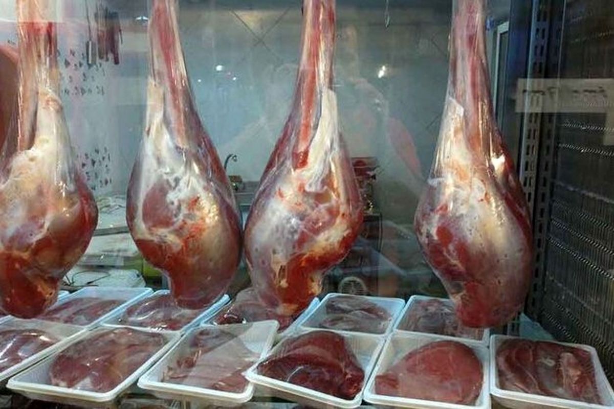 قیمت واقعی گوشت ۴۲۰ هزار تومان است / دولت به تولیدکننده خارجی یارانه می دهد