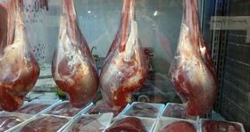 گوشت شتر کمیاب شد / فروش گوشت شتر با قیمت کیلویی ۸۵۰ هزار تومان 
