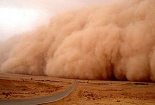 نادیا کمالی: باید از تغییر کاربری اراضی و دست بردن در طبیعت جلوگیری شود