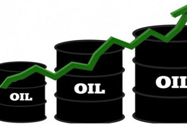 افزایش قیمت نفت در پی یک تصمیم عجیب / تولید نفت چقدر کاهش یافت؟