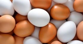 تغییر قیمت تخم مرغ در بازار /  تخم مرغ دانه ای ۱۲,۳۵۰ تومان