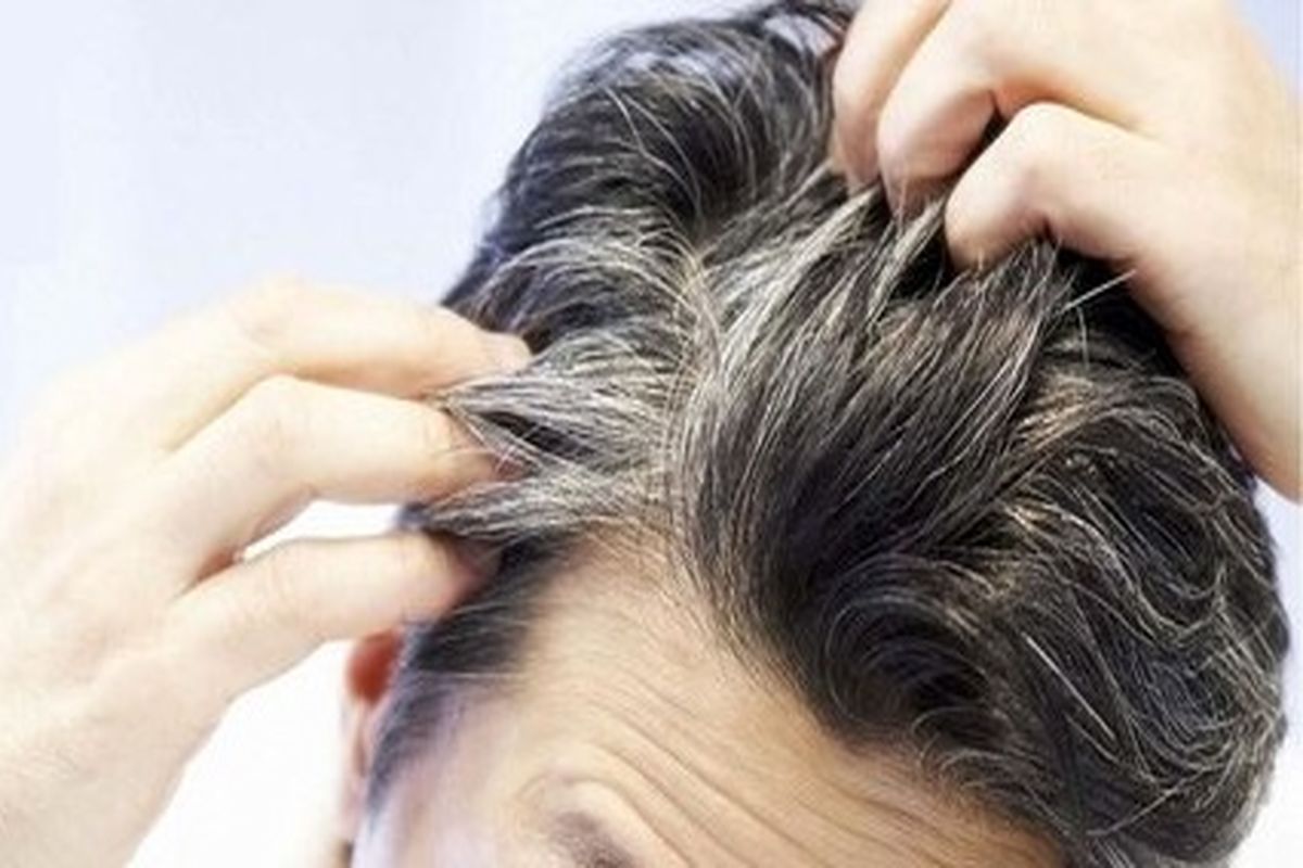 عوامل موثر بر سفید شدن مو / با موهایتان ملایم رفتار کنید