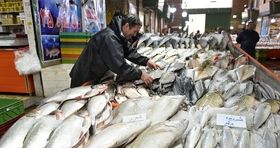 اعلام قیمت روز ماهی در بازار / ماهی سفید دریایی کیلویی چند؟ + جدول قیمت
