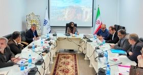 فیلم | برگزاری نمایشگاه فرش دستباف ایران در شهریور ماه