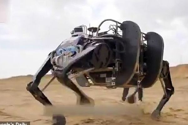 ساخت گاومیش رباتیک در چین با قابلیت دویدن! +فیلم