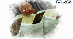برنج در دیگ سلف‌خَرها می‌جوشد / دولت هم پول خرید برنج ایرانی ندارد