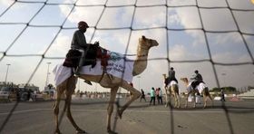 مسابقه هندبال روی شتر