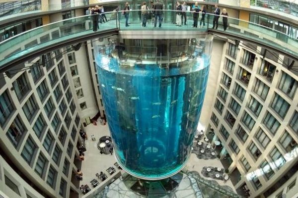 بزرگترین آکواریوم آلمان شکست / ۱۵۰۰ ماهی نادر تلف شدند