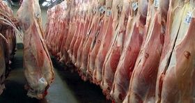 افزایش تقاضا برای گوشت وارداتی / آخرین وضعیت خرید دام زنده